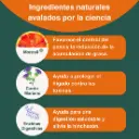 Bloating SOS de la marca GLOW HORMONE UNIVERSITY: Ingredientes
