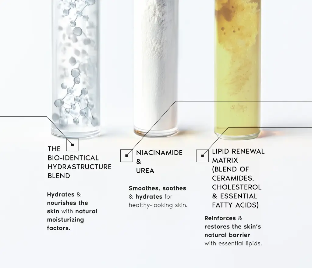 Bio-identical lipid replenish cream face de la marca NESCENS: Componentes