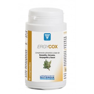 ErgyCox
