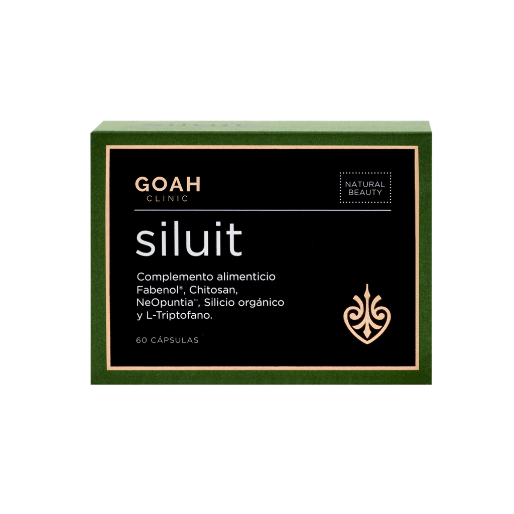 Siluit